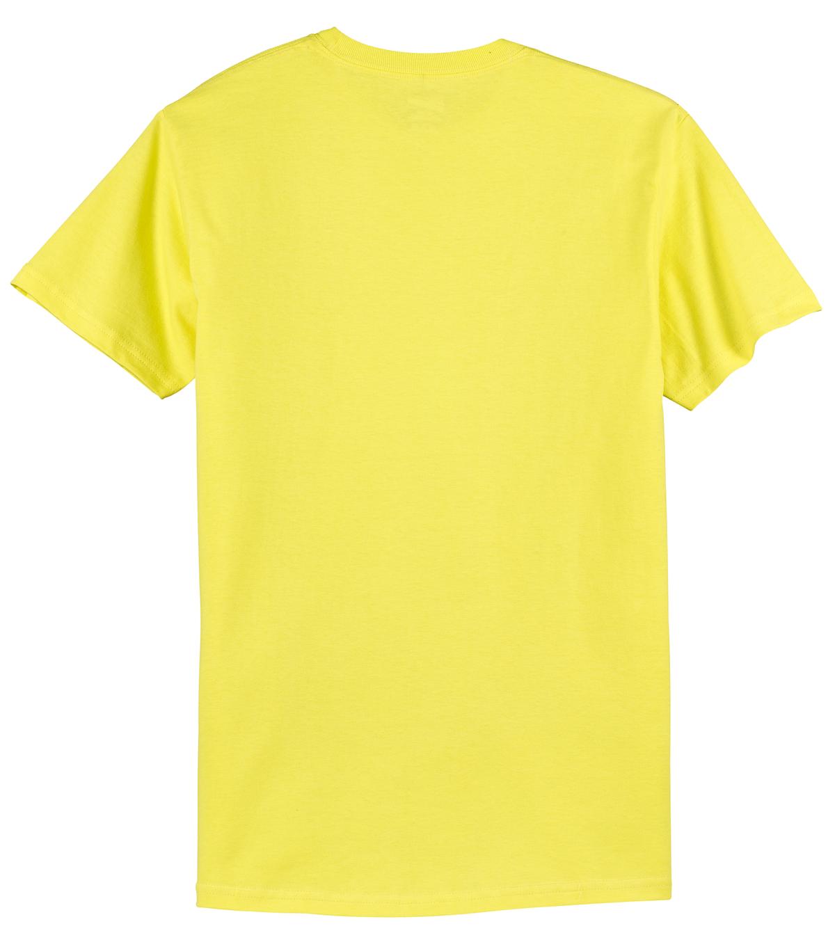 Hanes - Authentic 100% Cotton T-Shirt. 5250