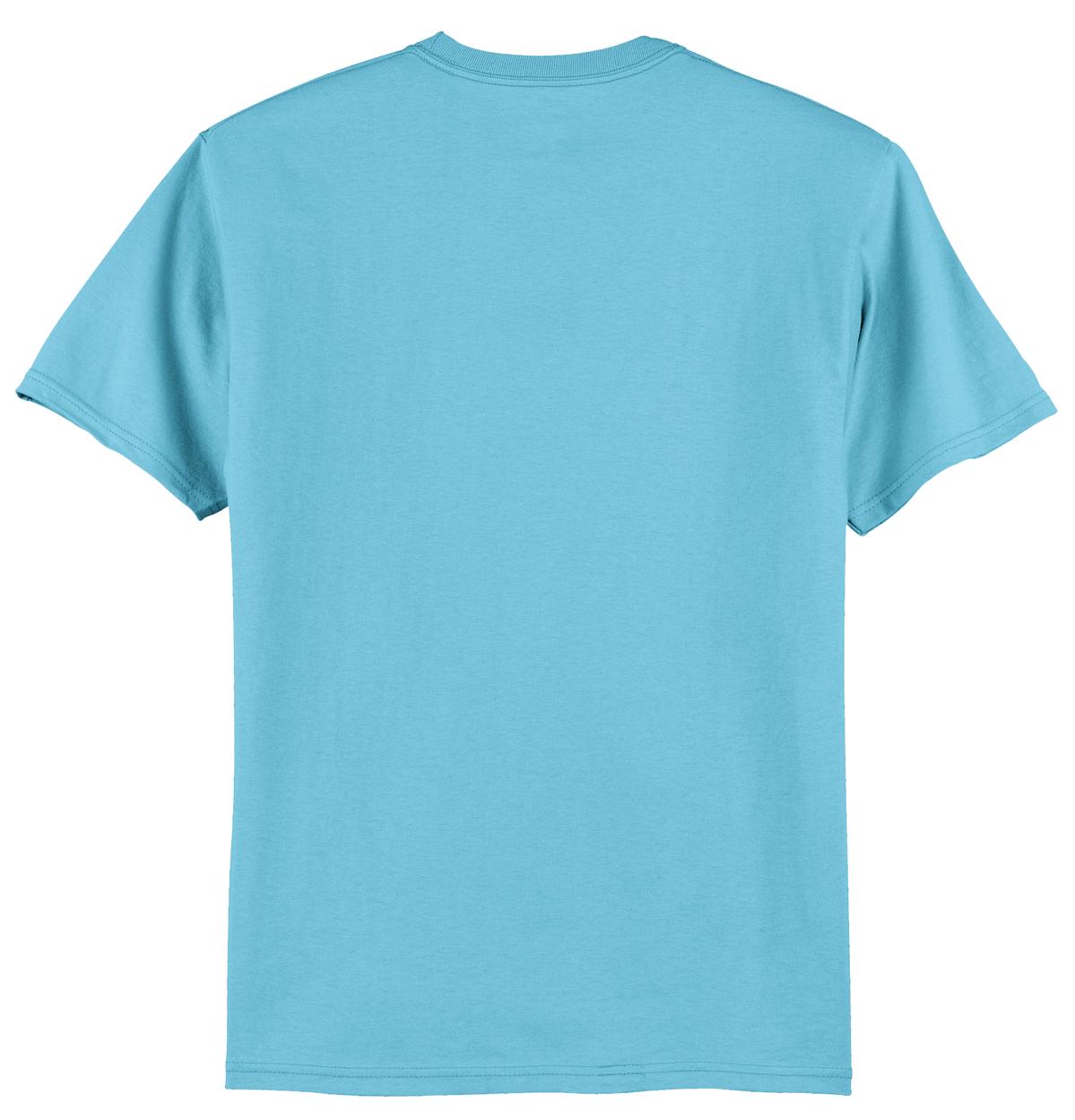 Hanes - Authentic 100% Cotton T-Shirt. 5250