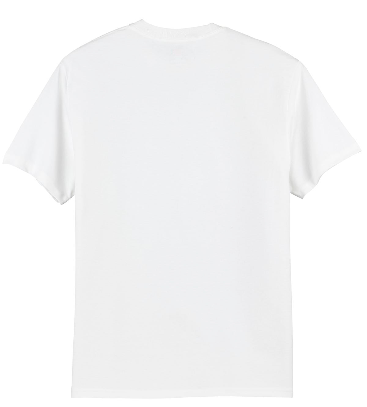 Hanes - Authentic 100% Cotton T-Shirt. 5250