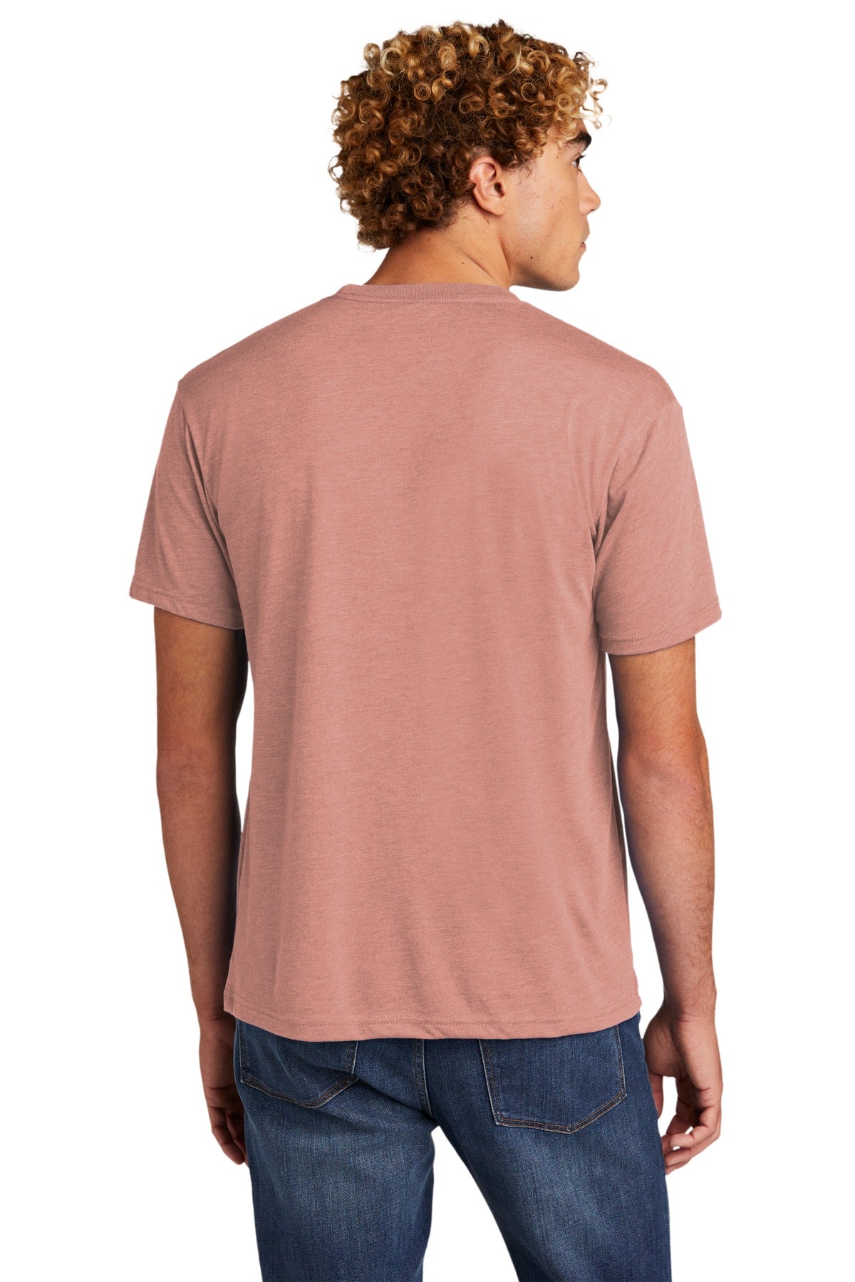 Next Level Apparel Unisex Tri-Blend Tee. NL6010