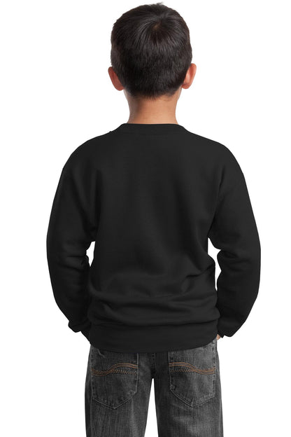 Port & Company - Youth Core Fleece Crewneck Sweatshirt. PC90Y