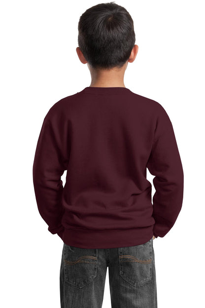 Port & Company - Youth Core Fleece Crewneck Sweatshirt. PC90Y