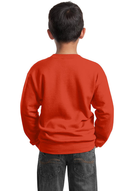 Port & Company - Youth Core Fleece Crewneck Sweatshirt. PC90Y