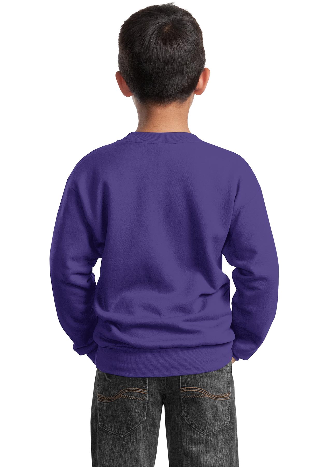 Port & Company - Youth Core Fleece Crewneck Sweatshirt. PC90Y